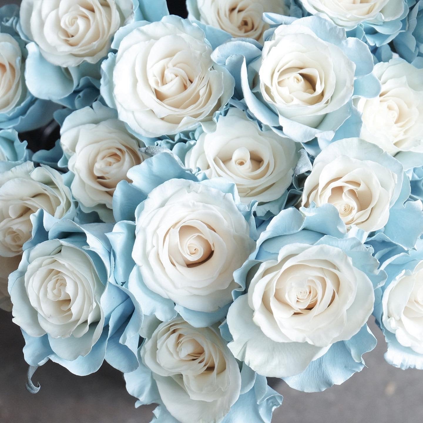 Heart White Box Baby Blue Roses 