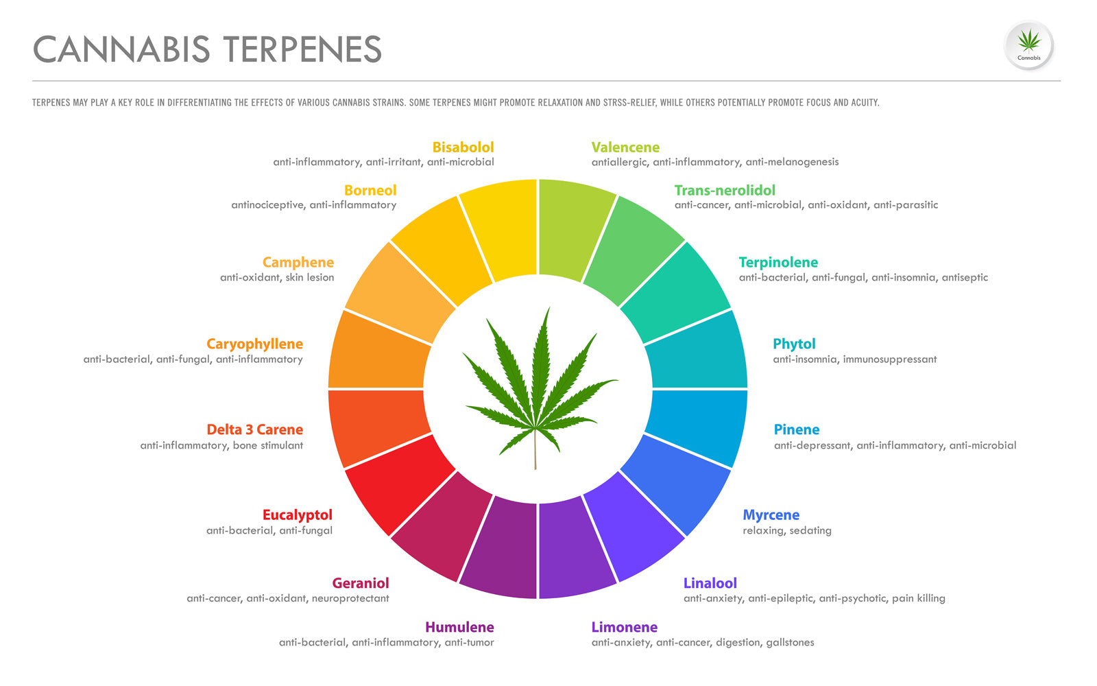 CBD Terpenes