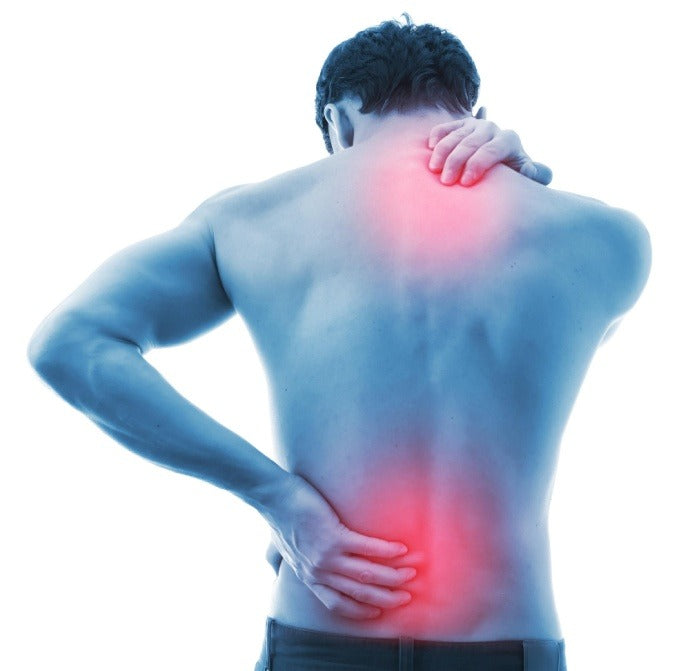 Truck Driver Tips To Avoid Back Pain While Sitting - The Healthy Trucker 