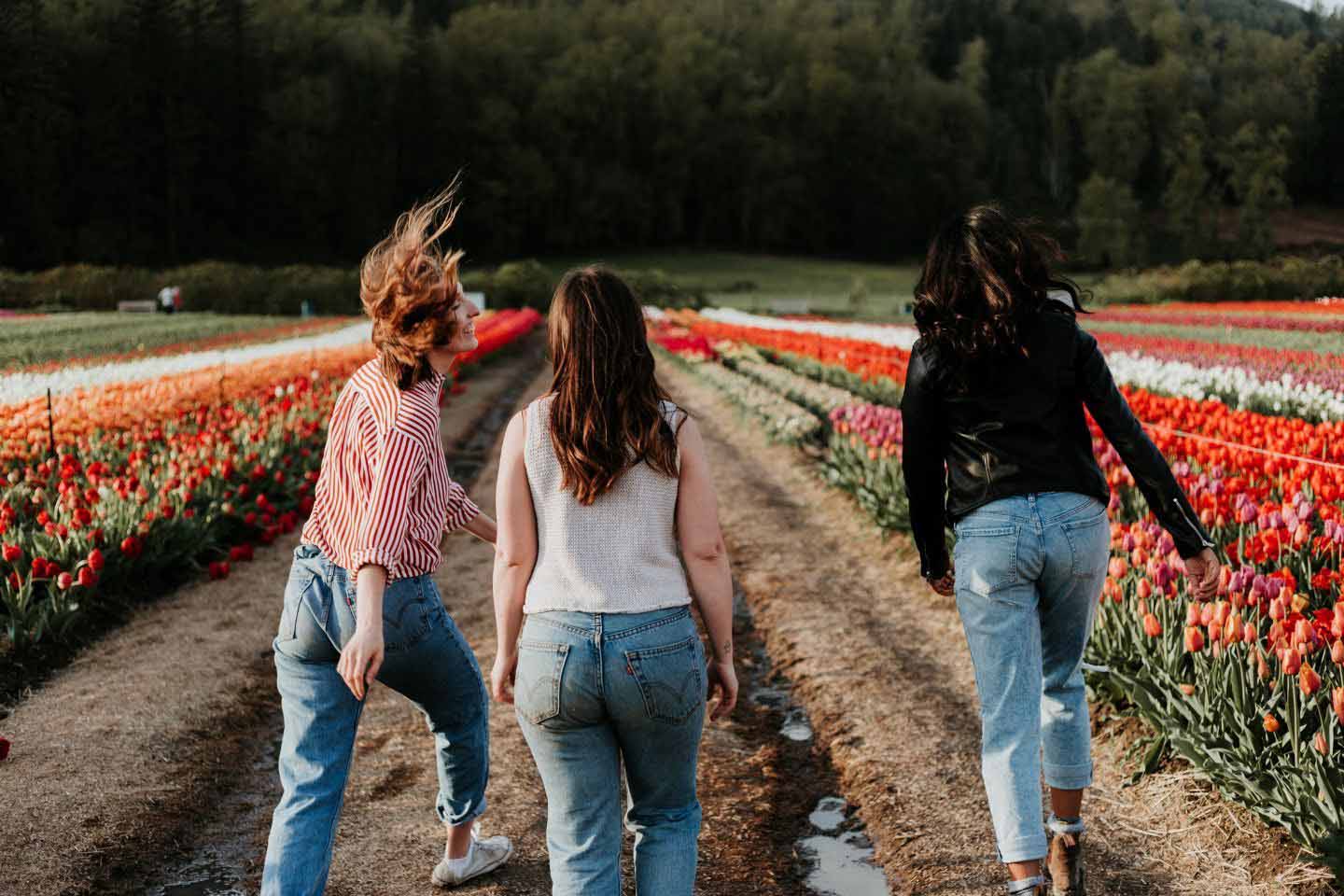 Three women happily strolling through a vibrant tulip field