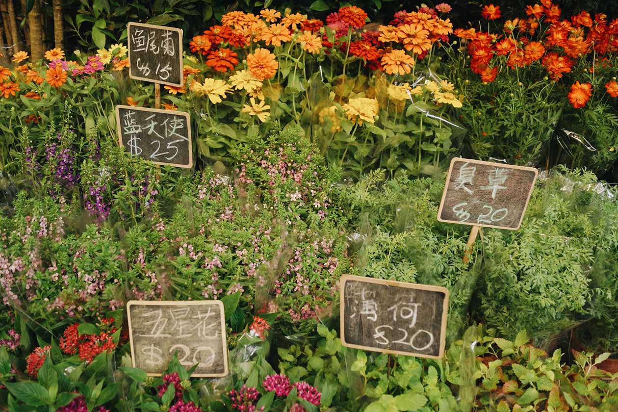assorted flowers and leaves and wooden price signage