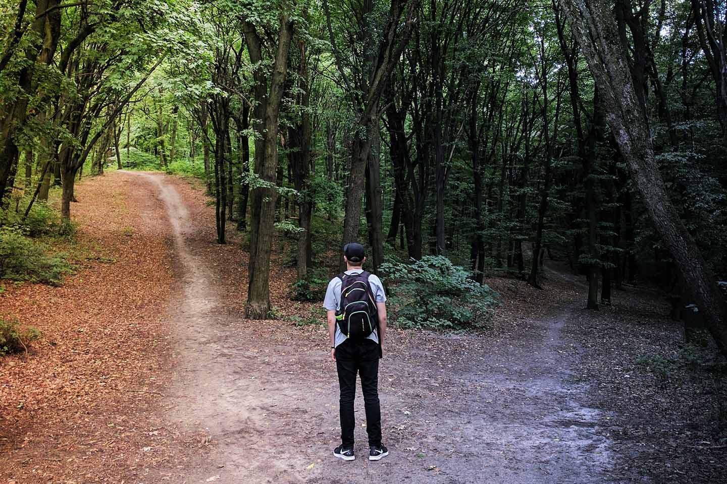 a man standing in the middle of two paths in the woods