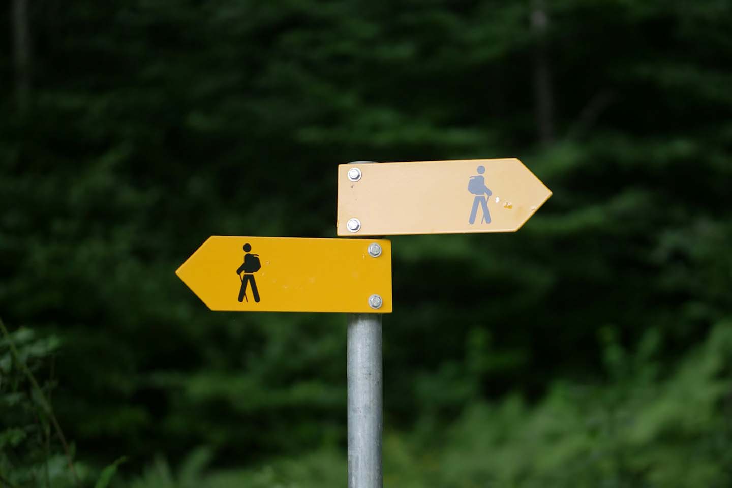 a yellow road sign pointing to opposite paths
