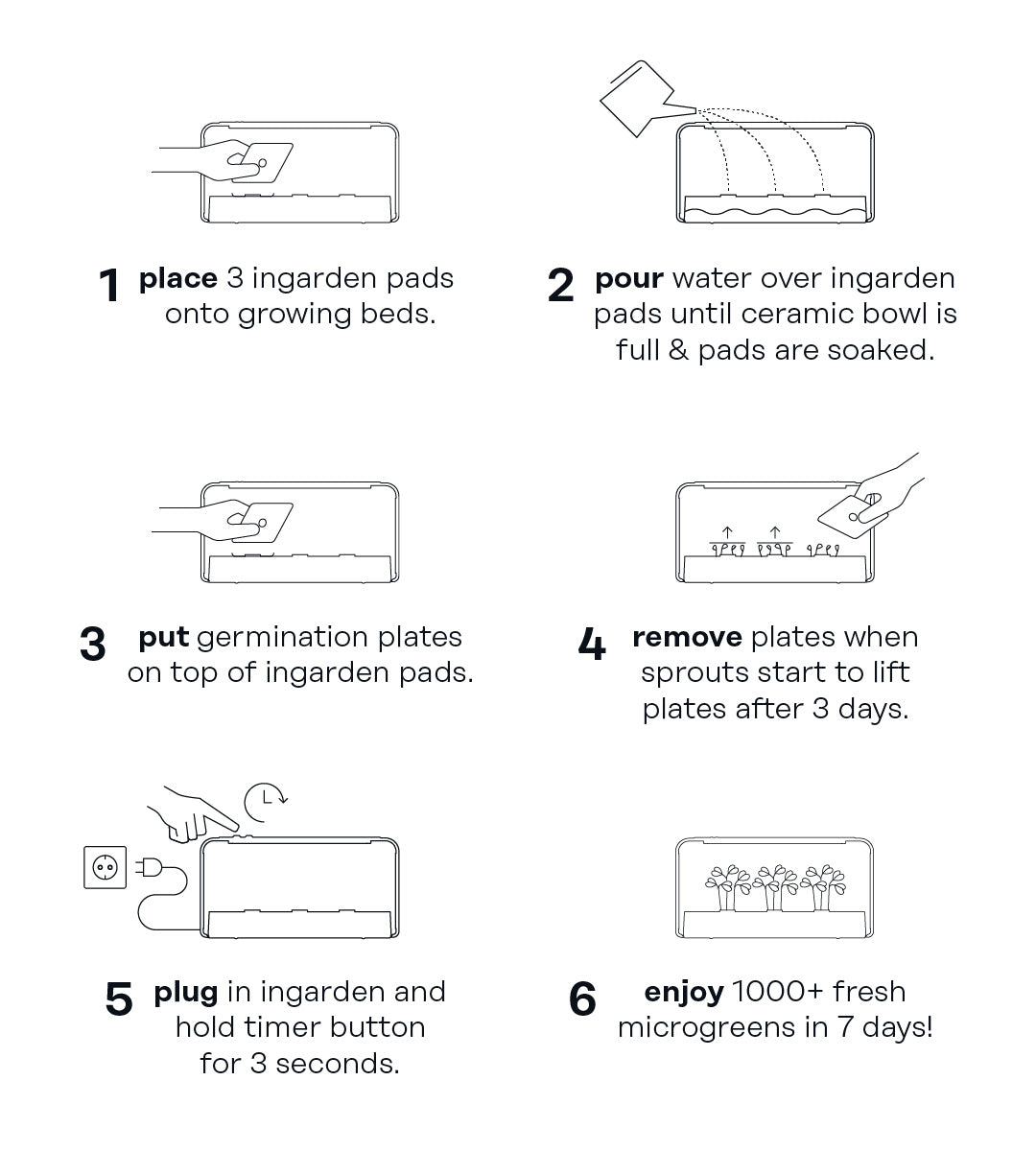 germination plate