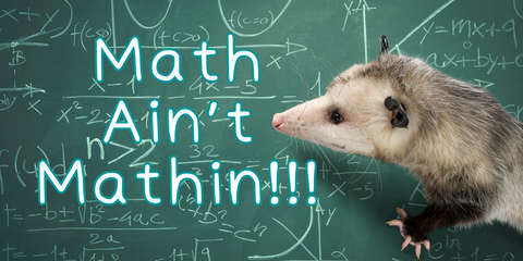 Petri's place math ain't mathin opossum
