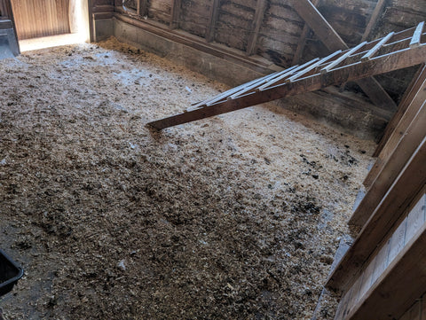 The before picture of a dirty Turkey house at Green Acres Farm Sanctuary