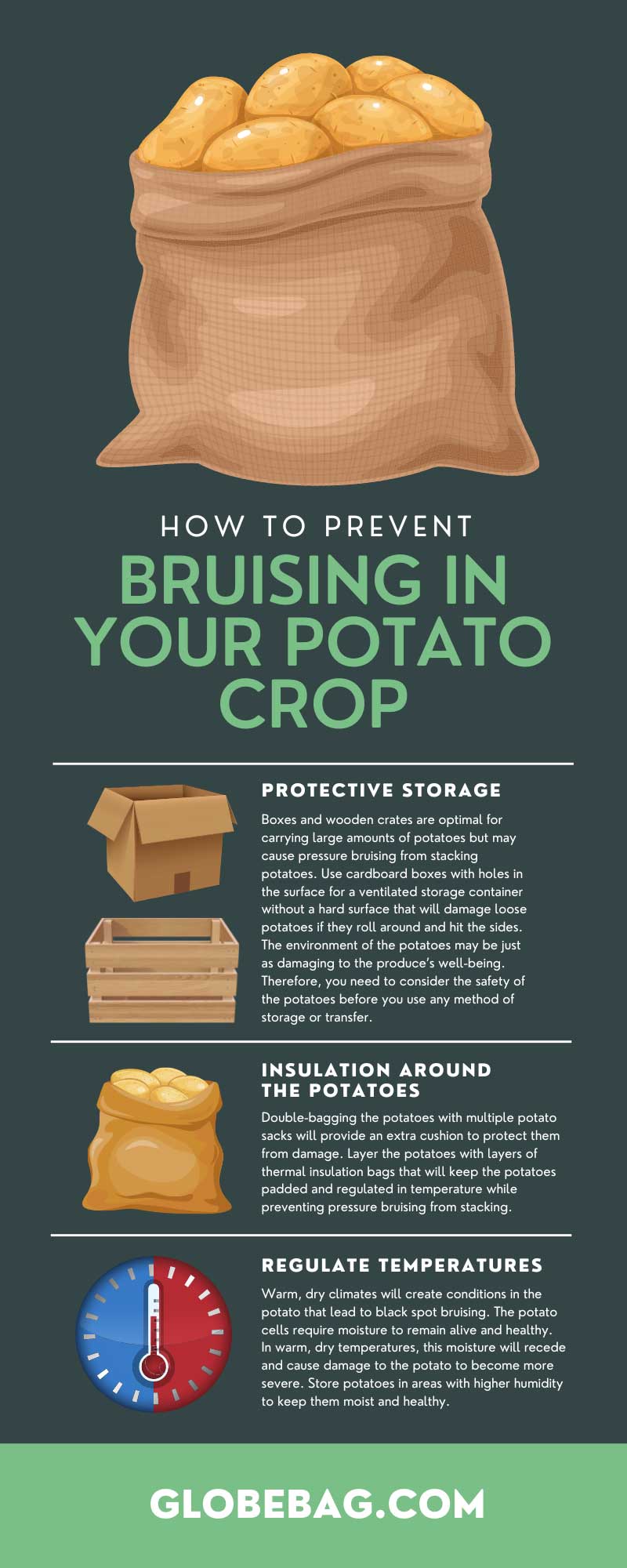 How To Prevent Bruising in Your Potato Crop