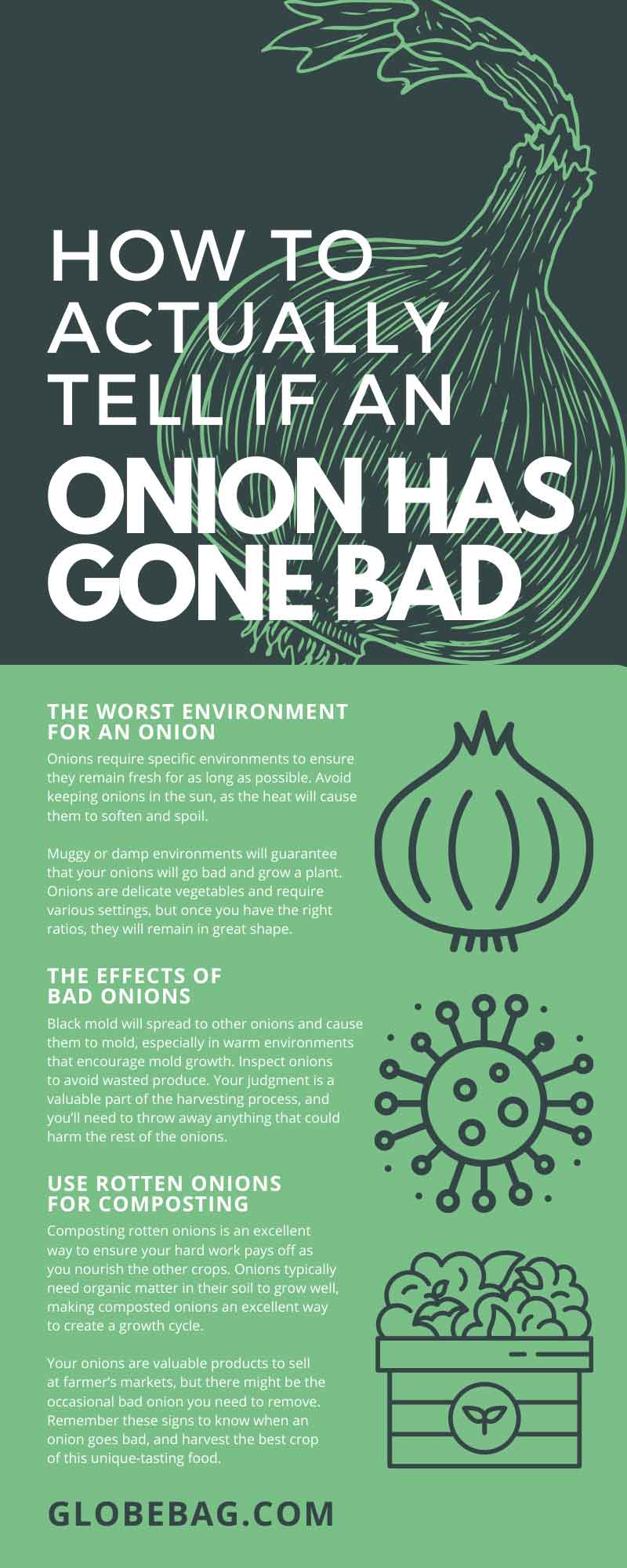 How To Actually Tell if an Onion Has Gone Bad