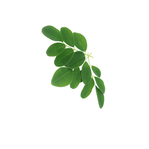 Moringa  |  Beauty Flow |  These adaptogens will level up your beauty as they help you handle mental, physical, and emotional stress.