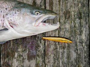 Fishing Crank Baits for Trophy Great Lakes Brown Trout – Lake