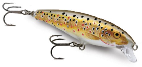 Scorn Soft Plastic Fishing Lures For Trout in Brown Color – PondProBaits