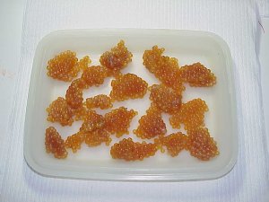 Adding Krill Scent to Salmon or Trout Roe or Skein – Lake Michigan