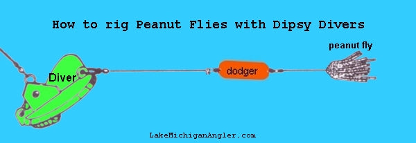 How to rig Peanut Flies Trolling with Dipsy Divers – Lake Michigan Angler A