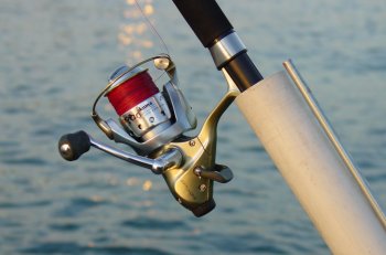 Fishing Reels for Surf Fishing – Lake Michigan Angler A