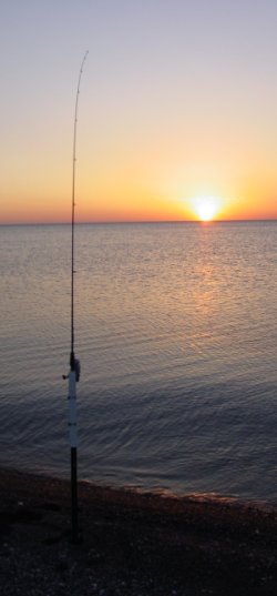 Fishing Rods for Surf Fishing – Lake Michigan Angler A