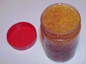 Curing and Preserving Salmon or Trout Eggs for Bait, Technique 1