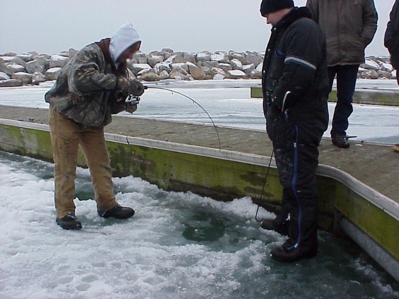 Ice Fishing with Trout Skein or Roe – Lake Michigan Angler A