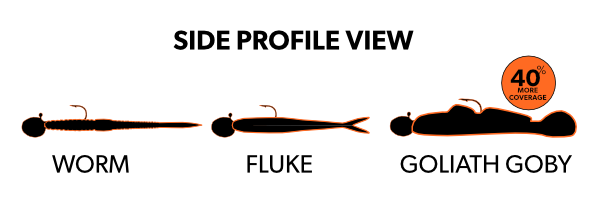 Side Profile View of the Goliath Goby