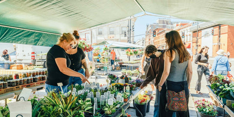 Kingston public market 