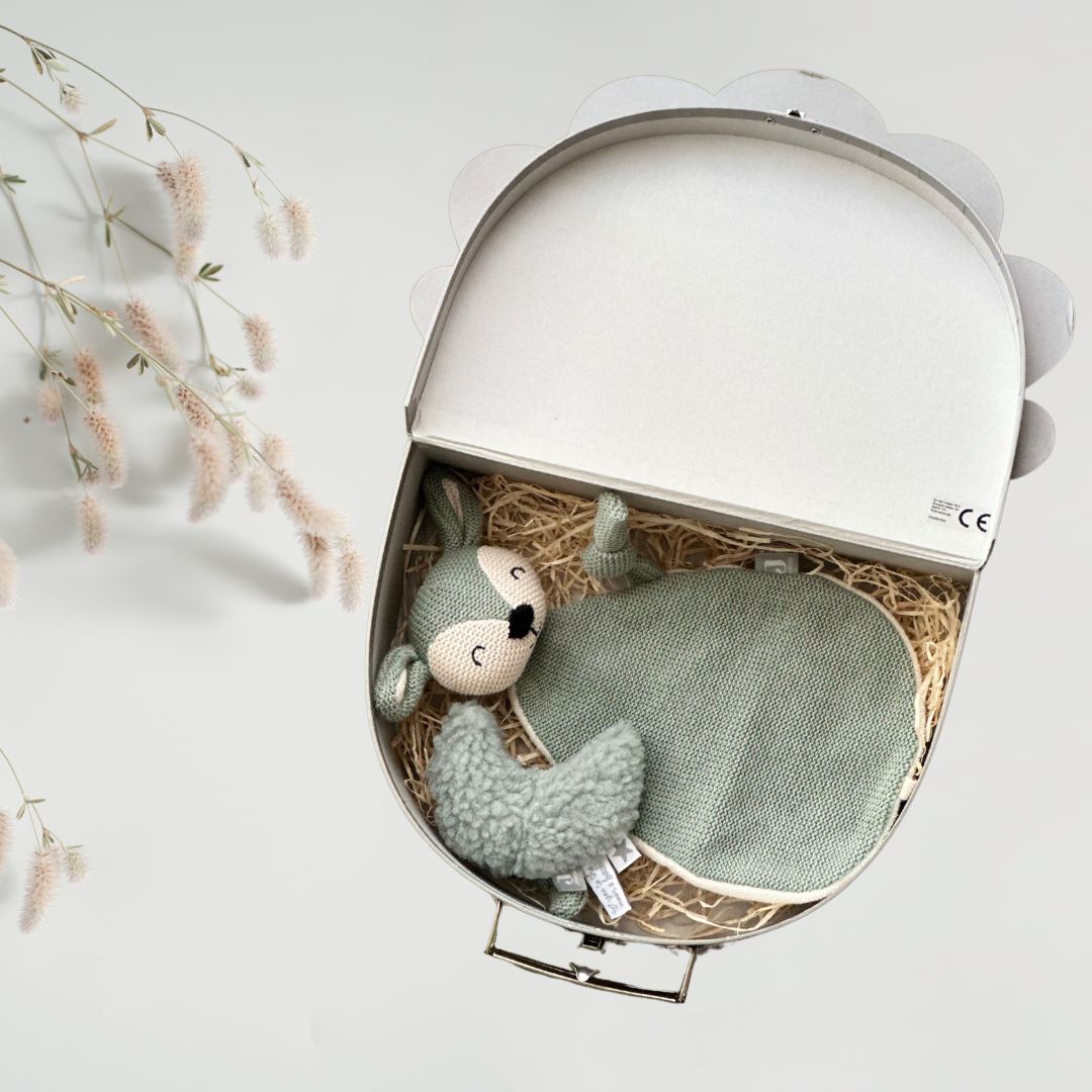 Set Cadou pentru Bebelusi in Valiza Decorativa - Petite Dear - Jollein
