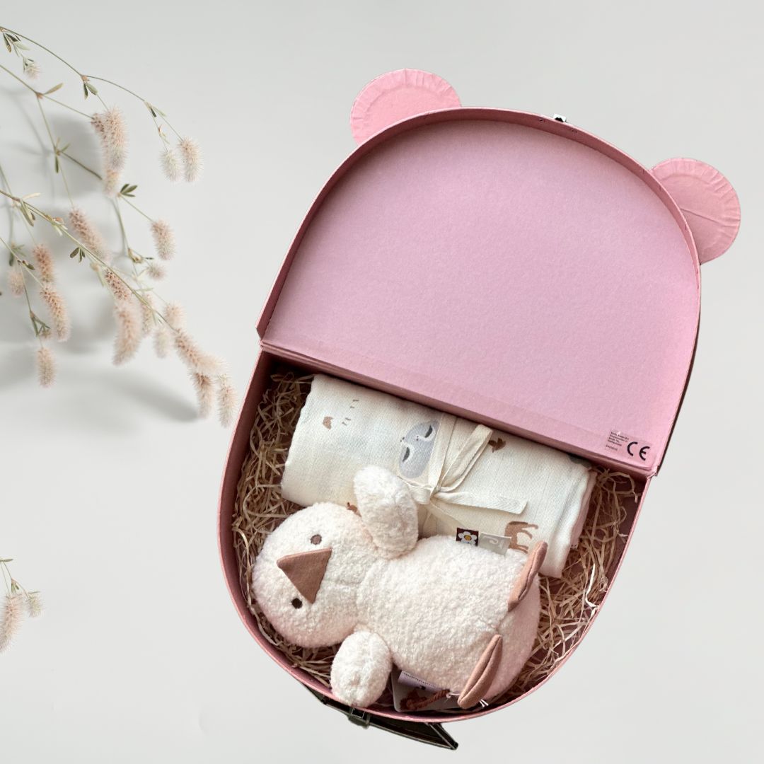 Set cadou pentru bebelusi in valiza decorativa - Mini Miracle - Jollein