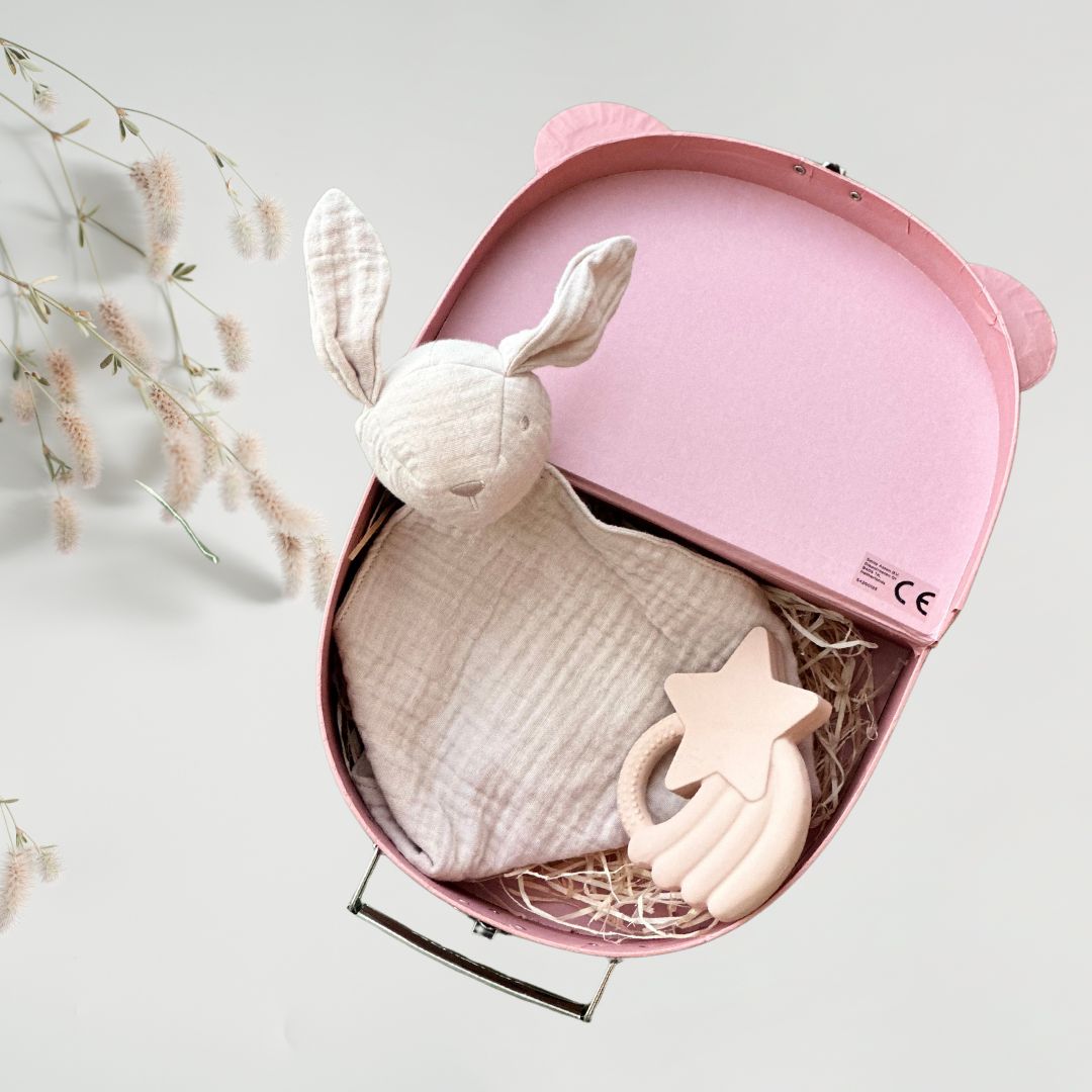Set cadou pentru bebelusi in valiza decorativa - Bunny Wares - Jollein