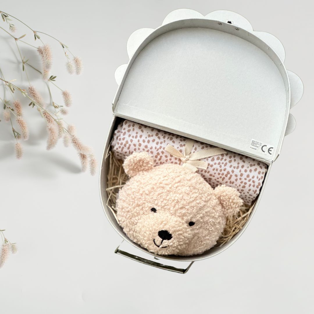 Set Cadou pentru Bebelusi Musical Bear in Valiza Decorativa - Jollein