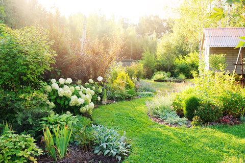 Cheminement courbe dans petit jardin en longueur