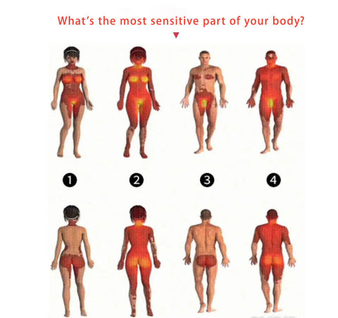 what's the most sensitive part of your body