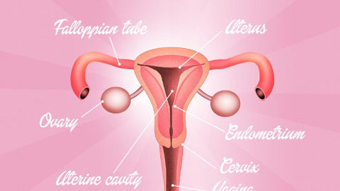 7 secrets of the vagina that 90% of women don't know