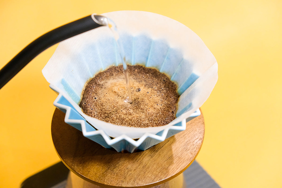 close up of the coffee blooming process in the origami dripper
