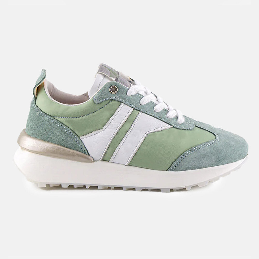 SHERRI LOW SNEAKERS IN GREEN SUEDE - Fairground product image