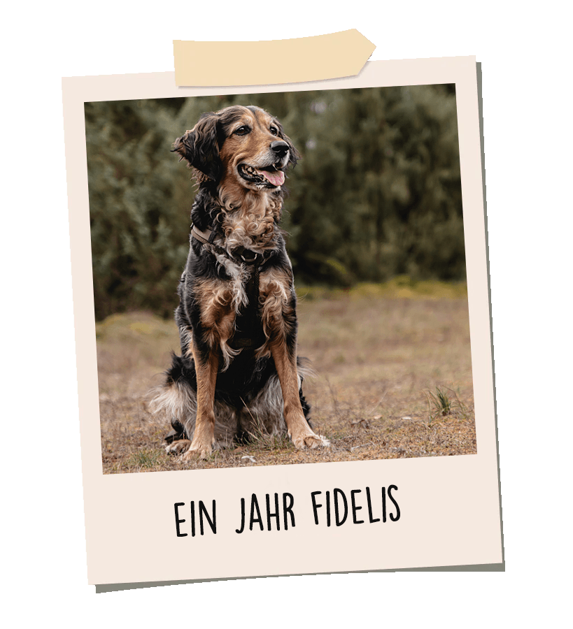 ein-jahr-fidelis-mobil.png__PID:b3d0bf74-9d52-4726-8826-b0f15057338c