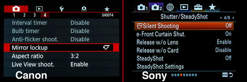 Canon and Sony Camera Setting Screens