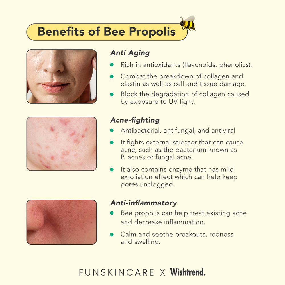 To Mix or Not to Mix? Retinol and Propolis – Wishtrend