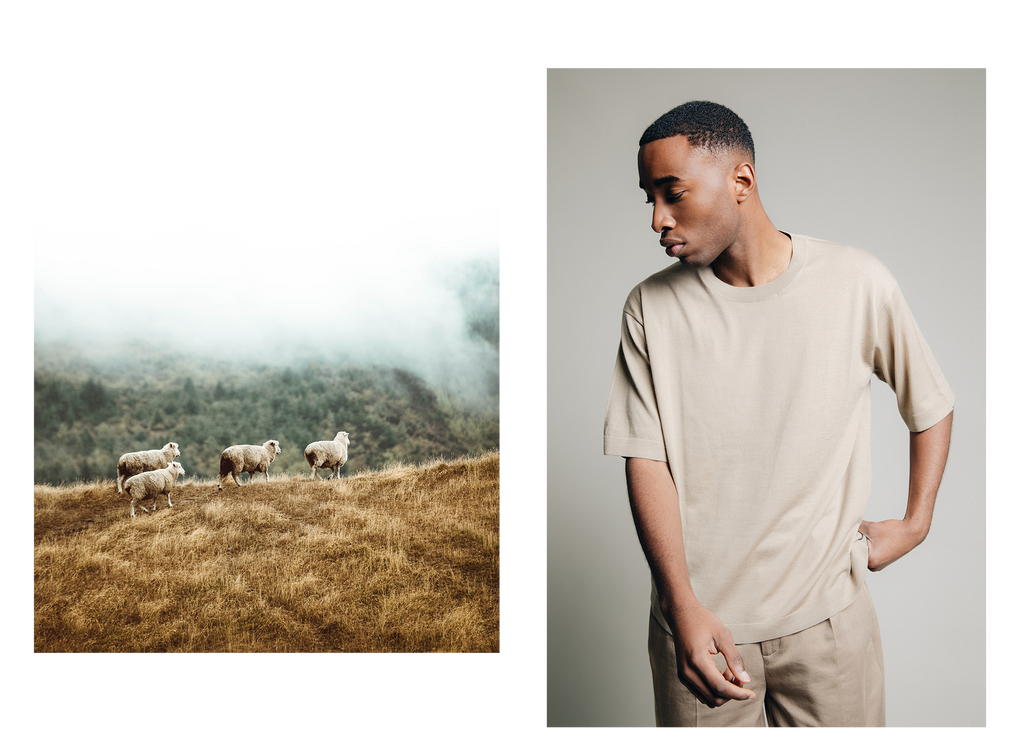 1c1y merino t-shirt collage with merino sheeps on a hill and webshop picture