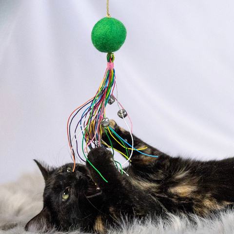 Ball Tracks and Rolling Toys for Cats