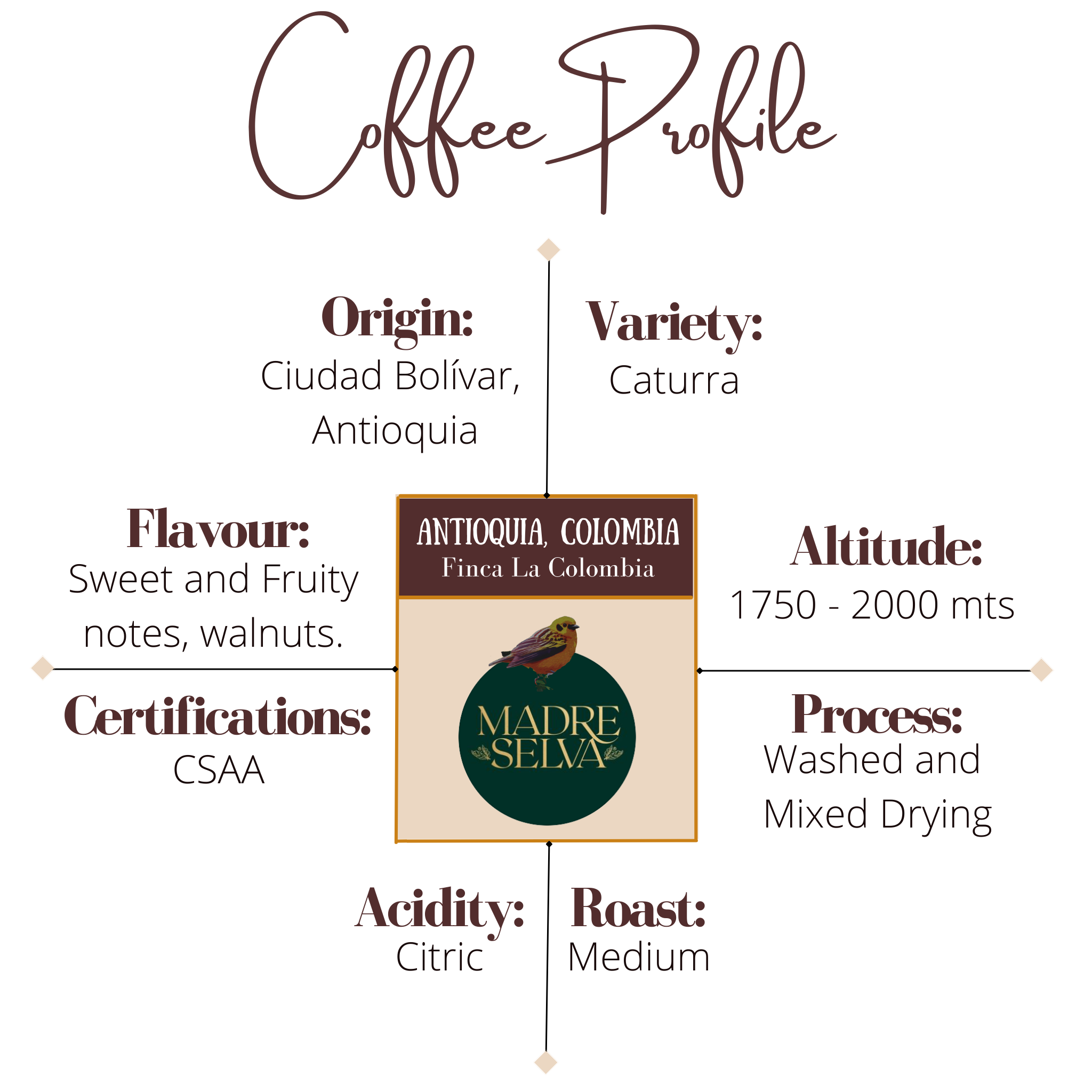 Madre Selva Finca La Colombia Coffee Profile