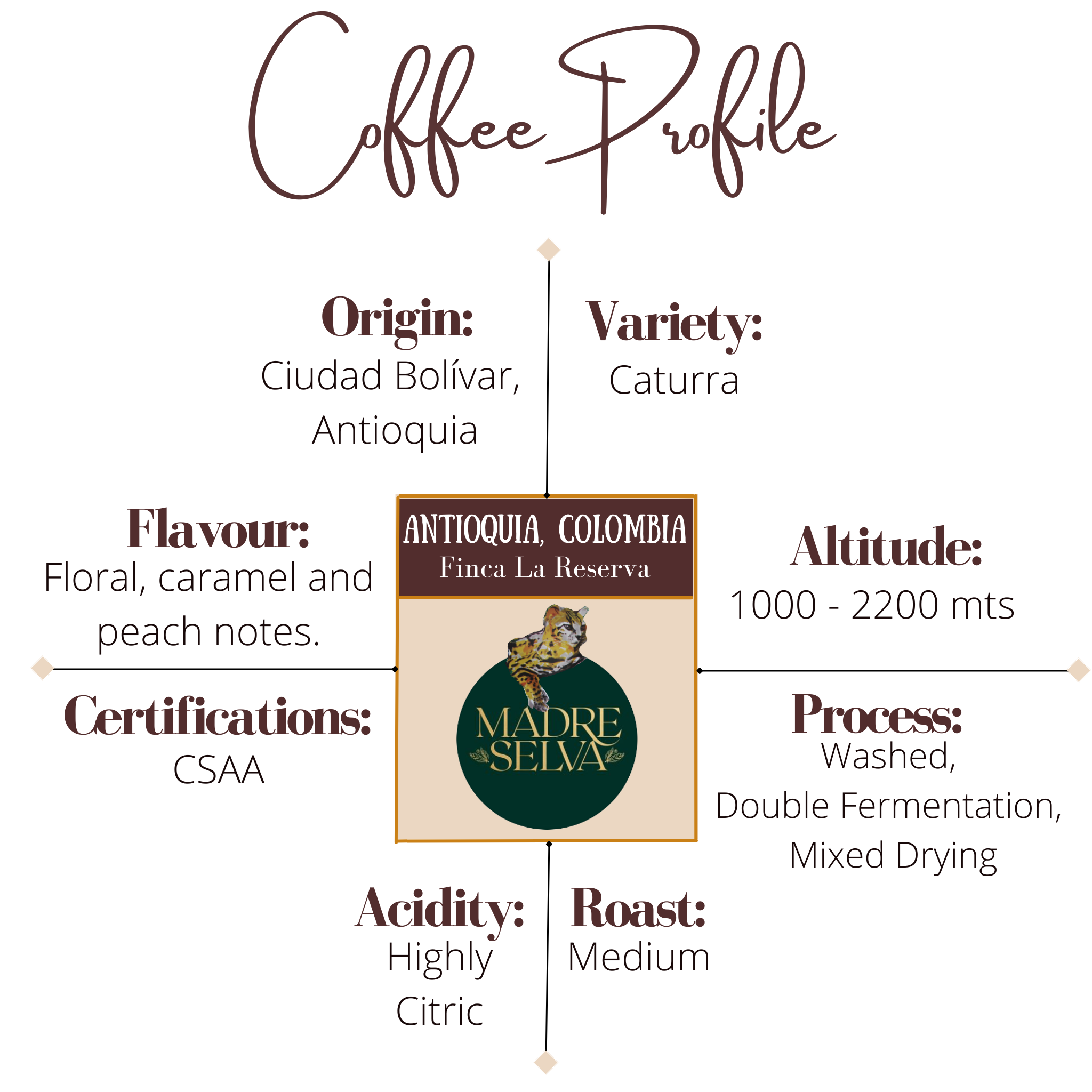Madre Selva Farm La Reserva Single Origin Coffee - Coffee Profile. Coffee Bean and Birds