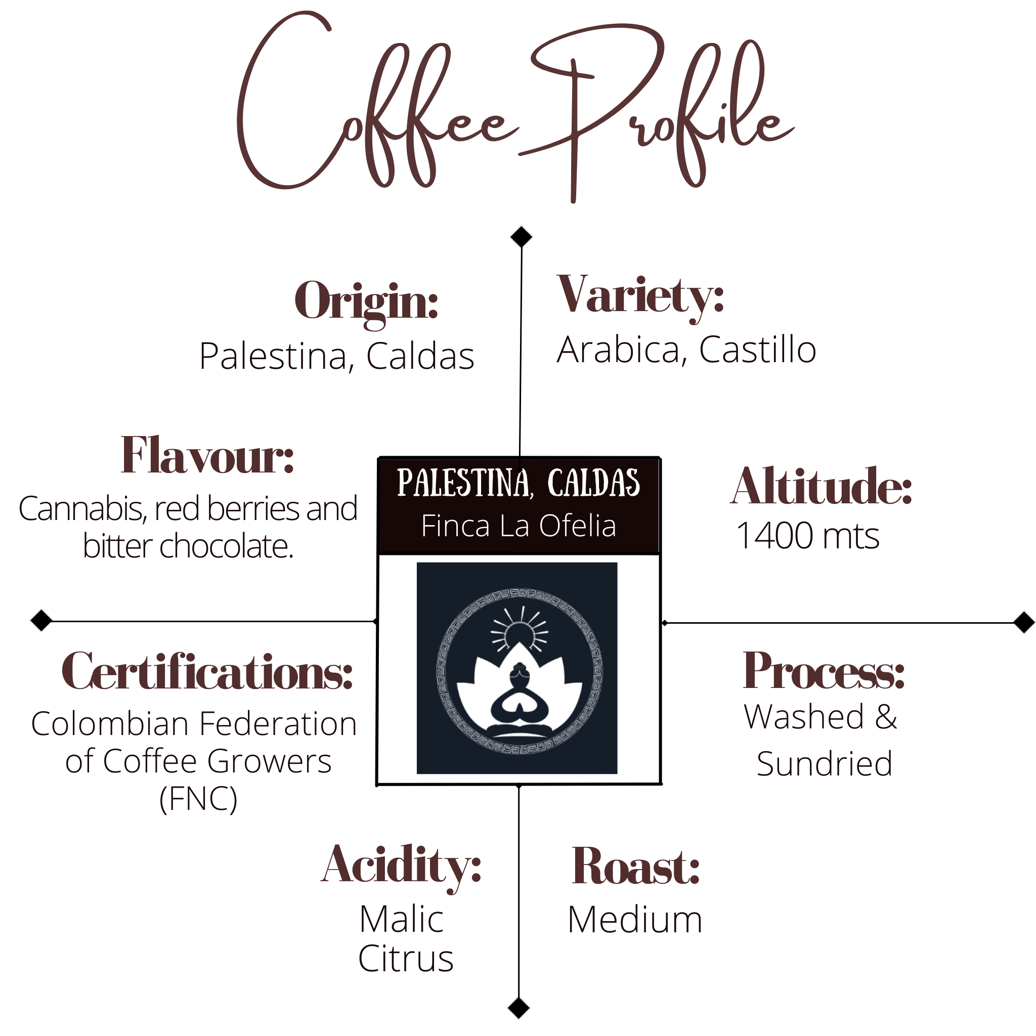 Sativa Songle-origin Organic Coffee with CBD