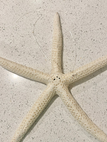 Tying starfish with string