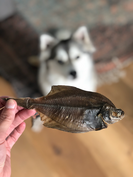 Geusje mit einem Fisch