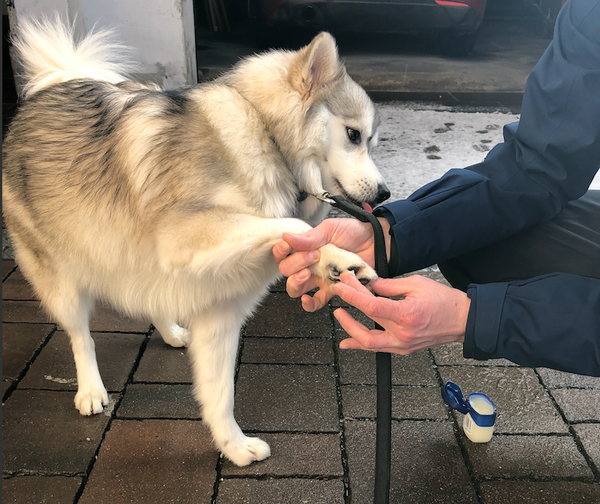 Geusjes pootjes invetten met vasaline