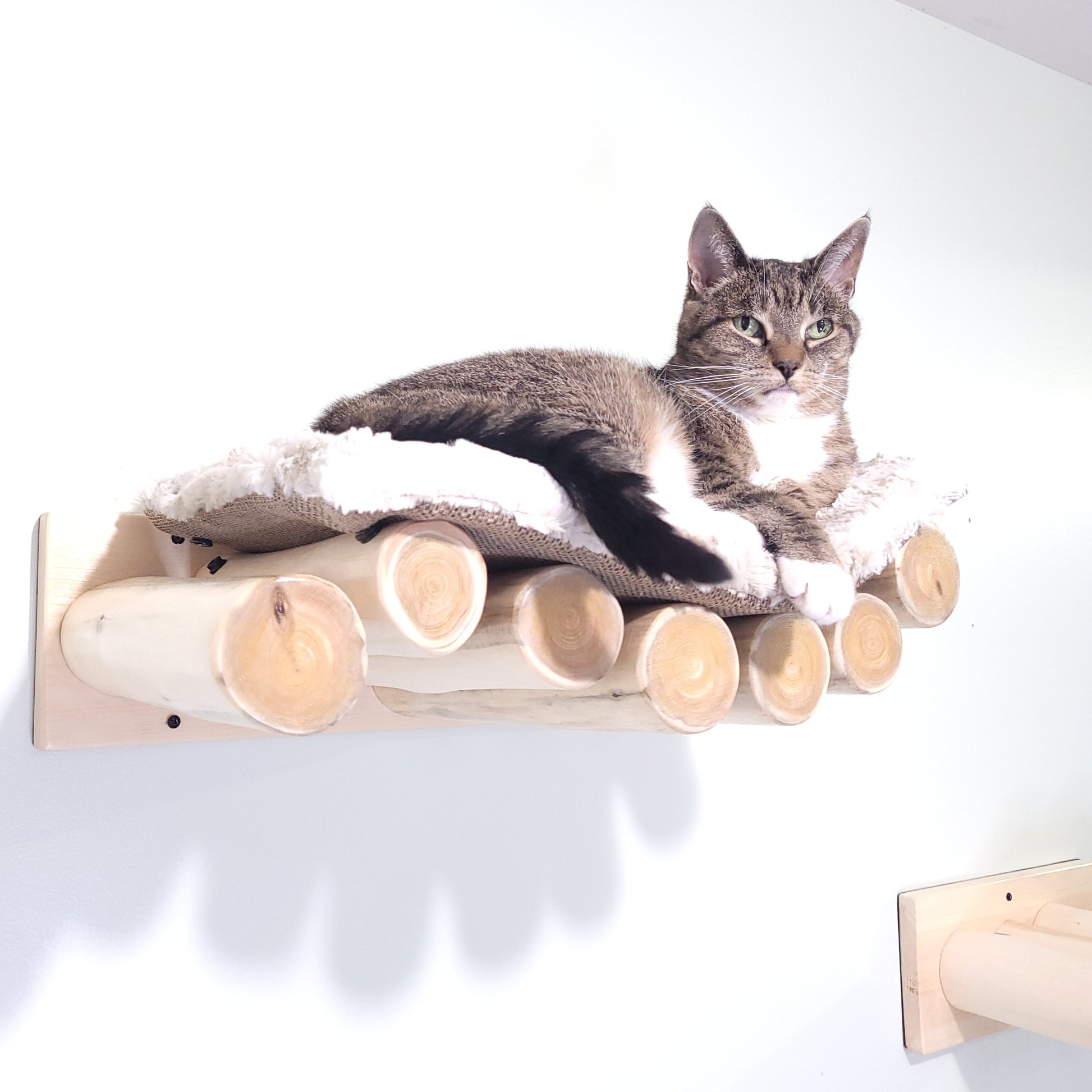 Bad milieu cursief Natural Cat Bed - wall mounted – FURever Pet Designs