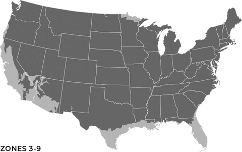 Plant Hardiness Zone 3-9