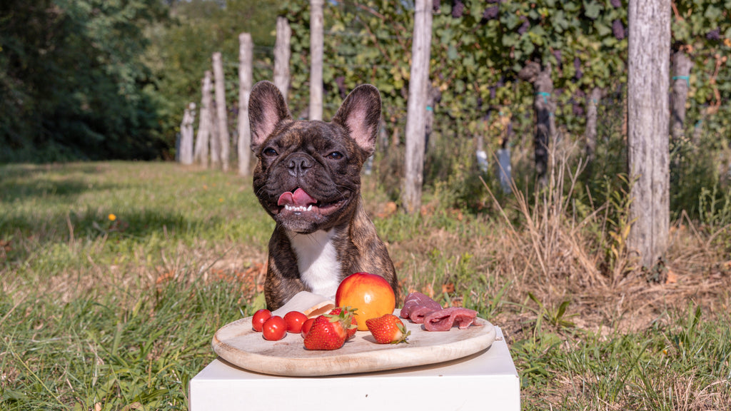 what fruits and vegetables are not good for dogs