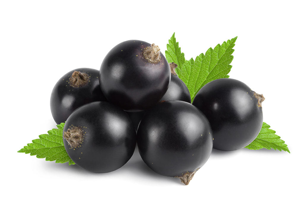 Anthocyanins promote blood circulation in the capillaries, slow down the degeneration of the macula and relieve eye fatigue. 