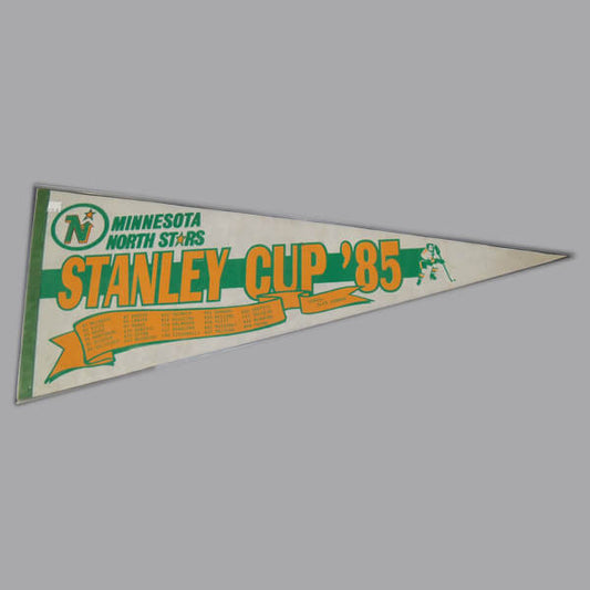 NHL 21 Stanley Cup Minnesota North Stars Celebration! PS4 