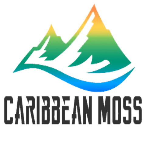 Wholesale Gold Sea Moss