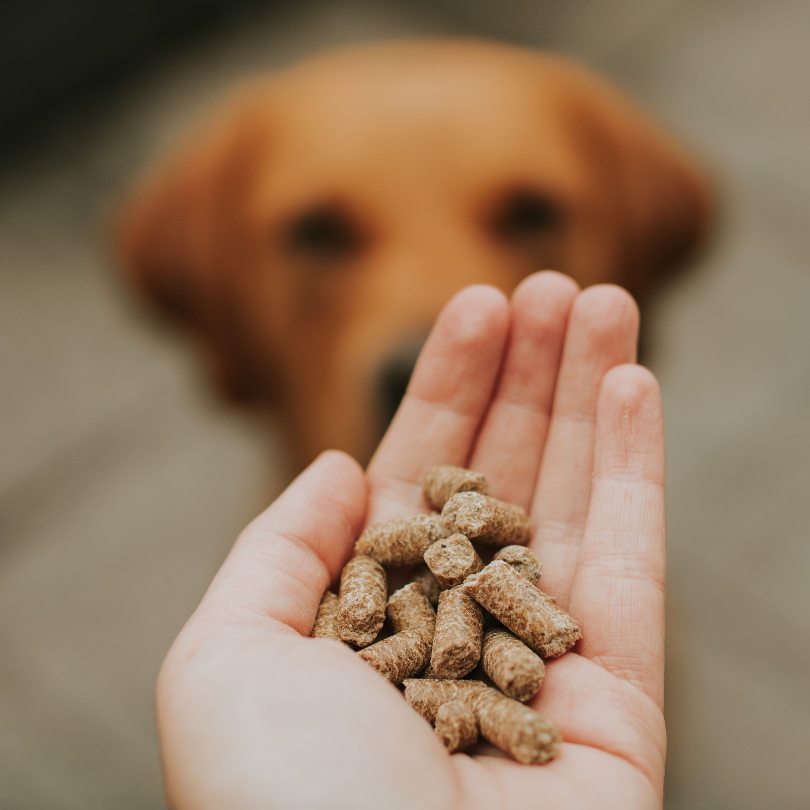 Trial Bags - Rùn Dog Food product image